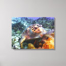 Search for hawksbill art Turtles