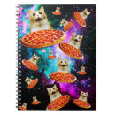 Search for cat notebooks Funny