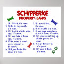 Search for schipperke posters Dog