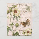 Search for shabbychic postcards Vintage