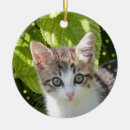 Search for brown tabby cat christmas tree decorations Pet