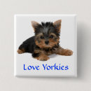 Search for yorkie accessories Cute