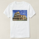 Search for ruin tshirts Mountain