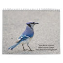 Search for backyard office supplies Birdwatching