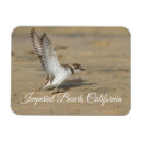 Search for stretching magnets Animal