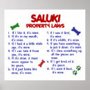 Search for saluki posters Cute