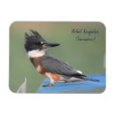 Search for birdwatcher magnets Nature
