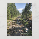 Search for camp rock postcards Nature