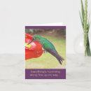 Search for humming cards Photography