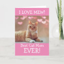 Search for fur baby mother cards From the cat