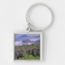 Search for lupine key rings Nature