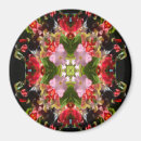 Search for begonia magnets Red