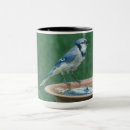 Search for blue jay bird mugs Birds