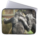 Search for chimp cases Funny