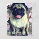 Search for pug postcards Canine