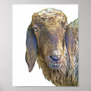 Search for goofy art Sheep