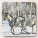 Search for appaloosas barware Snow