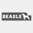Search for beagle bumper stickers Puppies