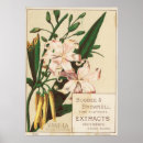 Search for extraction posters Vintage