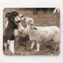 Search for border collie mouse mats Herding