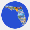 Search for daytona stickers Orlando