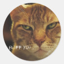 Search for fluff stickers Cat