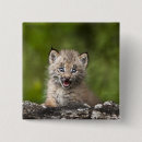 Search for looking square badges Nature