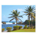 Search for barbados posters Photography