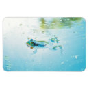 Search for blue pond magnets Water