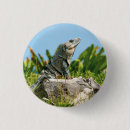Search for iguana badges Animal
