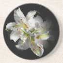 Search for pure coasters Green