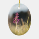 Search for macro christmas tree decorations Plant