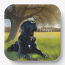 Search for black labrador dog plates Animals