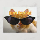 Search for fun cat birthday cards Cool