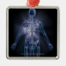 Search for transparent christmas tree decorations Body