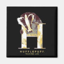 Search for harry potter gifts Hufflepuff badger
