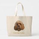 Search for breed accessories Animals