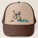 Search for bulldog hats Illustration