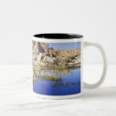 Search for joshua tree national park mugs Landscape