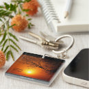 Search for storm accessories Nature
