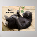 Search for chill out posters Animal