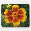 Search for marigold mouse mats Flower
