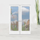 Search for kite Summer