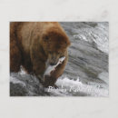 Search for brook postcards Salmon