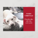 Search for dog lovers christmas cards Labrador retriever