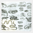 Search for vipers stickers Serpent