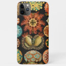 Search for marine life cases Ernst haeckel