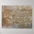 Search for the bark of art Closeup