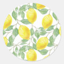 Search for fruit design stickers Citrus