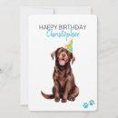 Search for chocolate lab birthday cards Dog